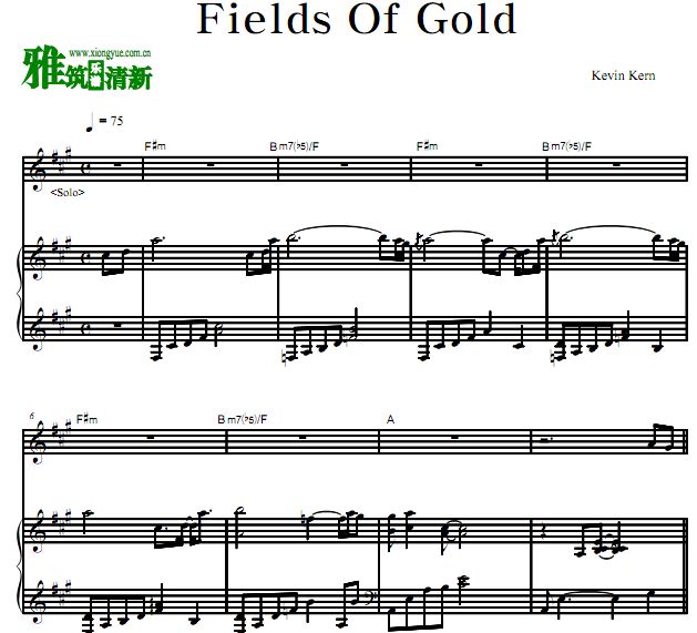 kevin kern - fields of gold SOLO+钢琴谱