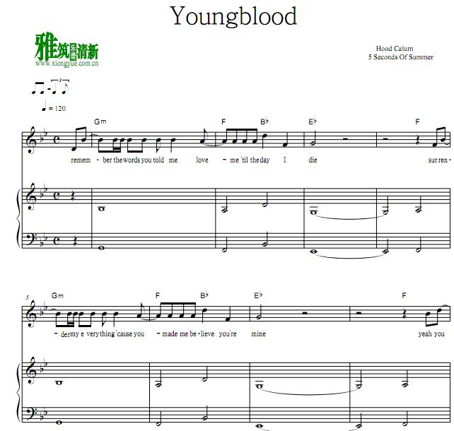 pinkblood钢琴谱,blackpink钢琴谱 5 seconds of summer - youngblood 钢琴伴奏谱
