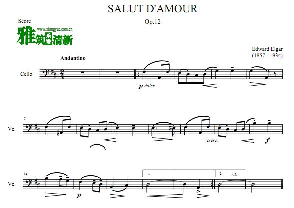 爱的致意 Salut d'amour大提琴谱 D调