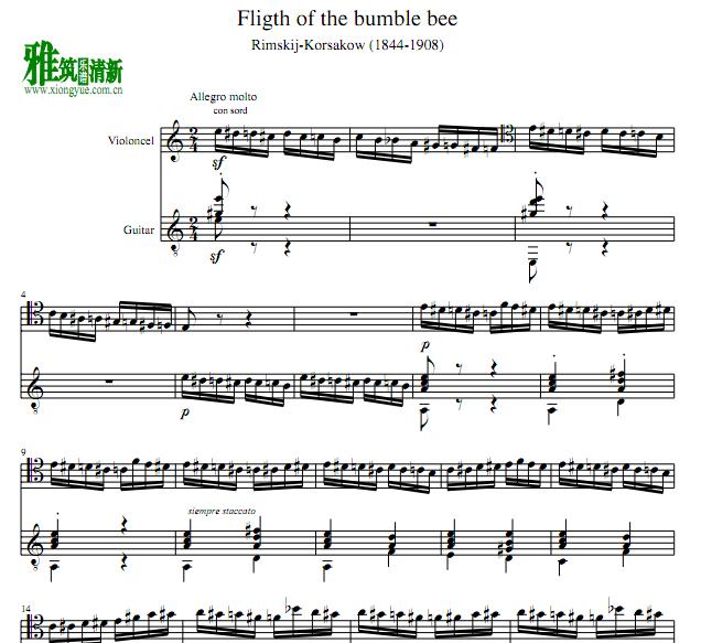野蜂飞舞Flight of the Bumble bee大提琴吉他二重奏谱 