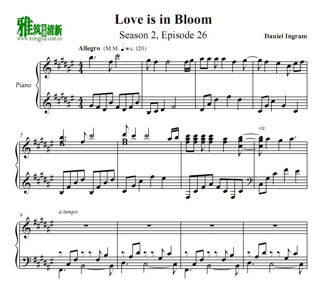 Love is in Bloom