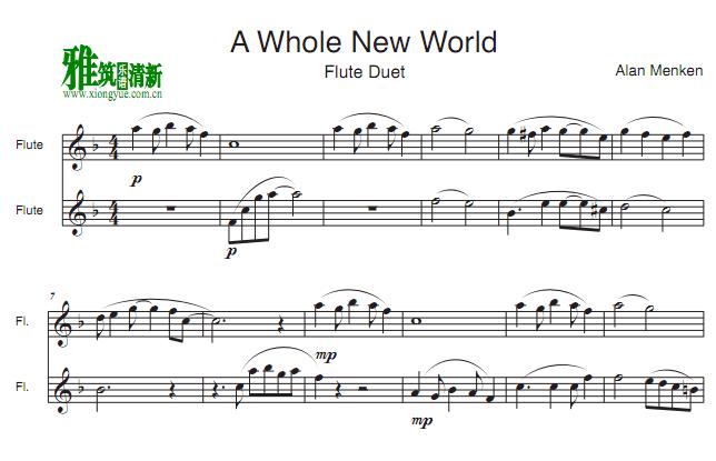 a whole new world 长笛二重奏谱