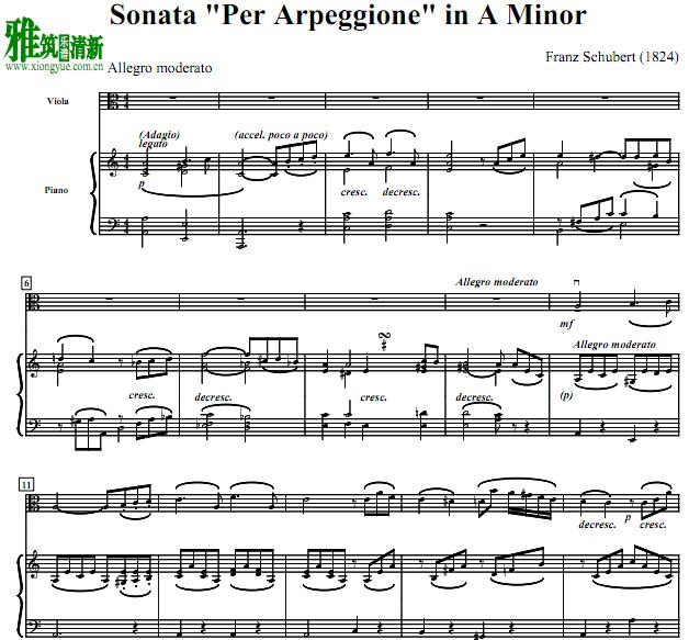 舒伯特a小调中提琴奏鸣曲 Sonata in A Minor中提琴钢琴谱