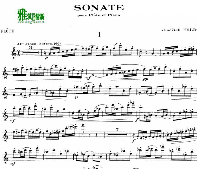 Jindfich Feld Flute Sonata 长笛谱
