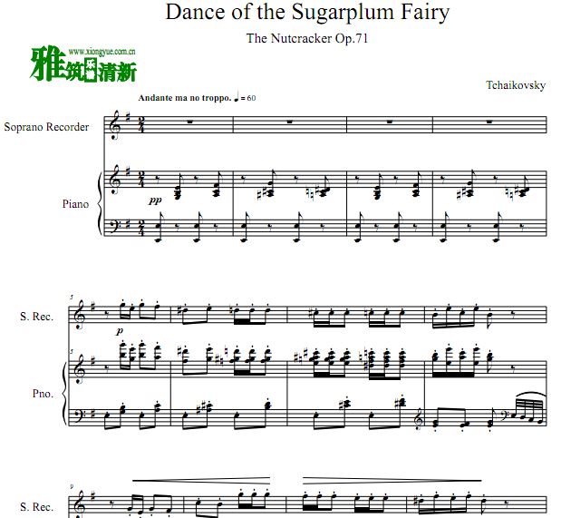 ǹ֮ Dance Of The Sugar plum Fairy