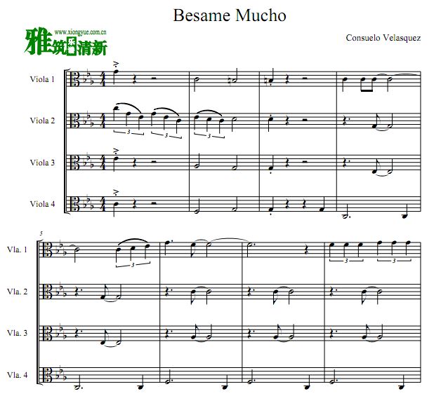 Besame Mucho 四中提琴合奏谱