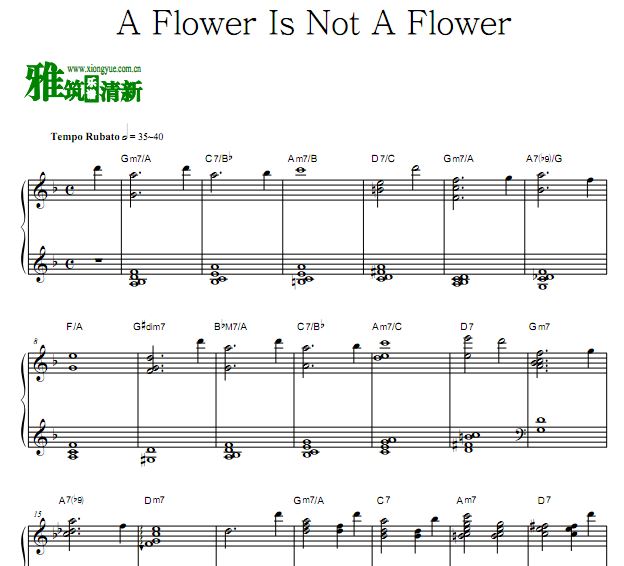 坂本龙一 A Flower Is Not A Flower钢琴谱