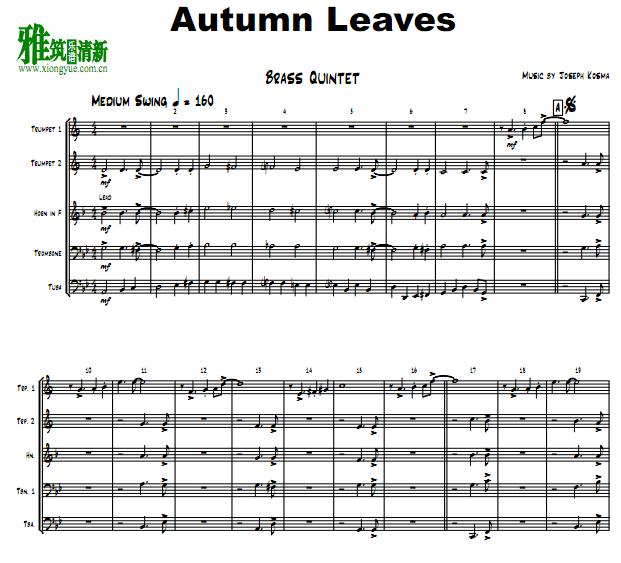  Ҷautumn leavesͭ