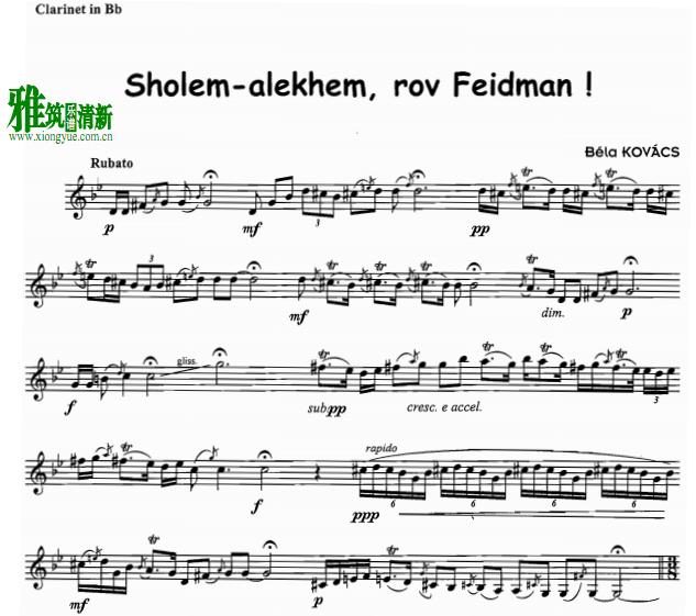 贝拉·科瓦奇 Sholem alekhem rov Feidman单簧管谱