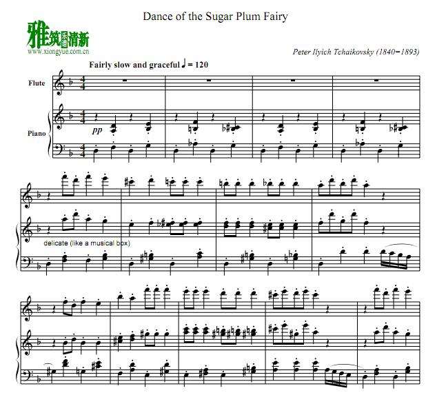 ǹ֮ Dance Of The Sugar Plum Fairy ٳѶ