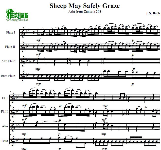 巴赫 Sheep May Safely Graze羊儿安静的吃草长笛四重奏谱
