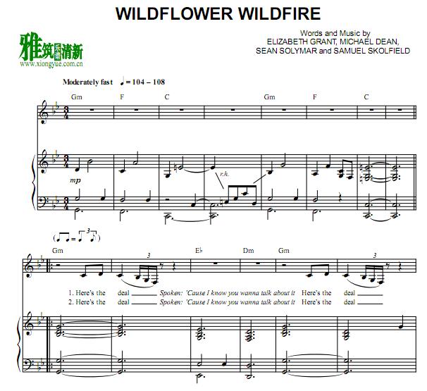 LANA DEL REY - Wildflower Wildfire钢琴伴奏谱