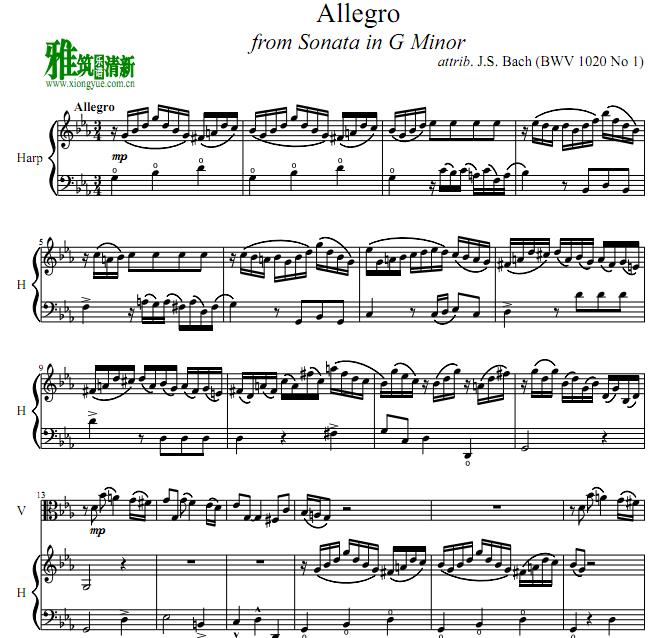 巴赫G小调奏鸣曲 Bach Sonata in G minor bwv 1020 中提琴竖琴二重奏谱