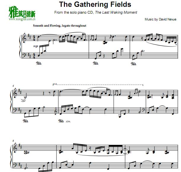 David Nevue - The Gathering Fields钢琴谱
