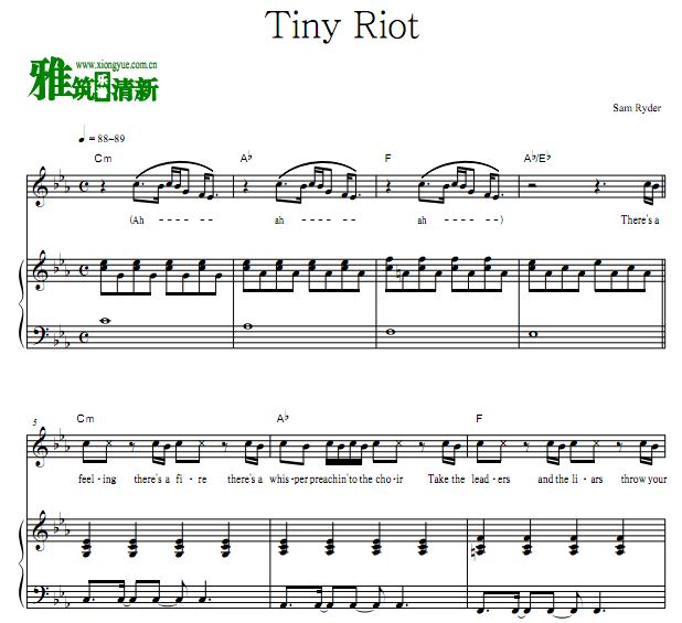 Sam Ryder - Tiny Riot钢琴伴奏弹唱歌谱