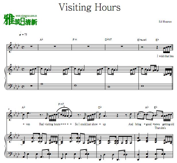 Ed Sheeran - Visiting Hours歌谱 钢琴伴奏谱