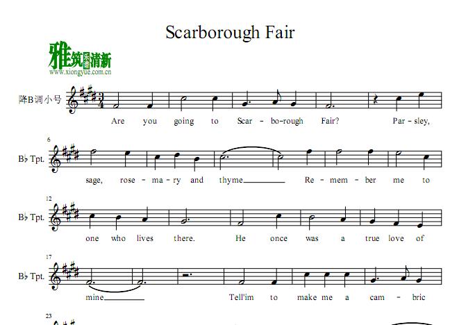 ˹޼Scarborough FairС