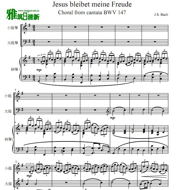 Jesus Bleibet Meine Freude 耶稣,人类渴望的喜悦钢琴三重奏谱