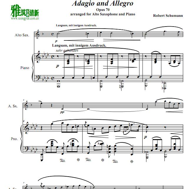 塷 Schumann Adagio and Allegro Op. 70˹ٰ