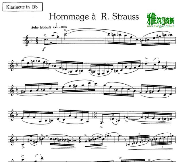 hommage a R.strauss 致敬施特劳斯单簧管谱