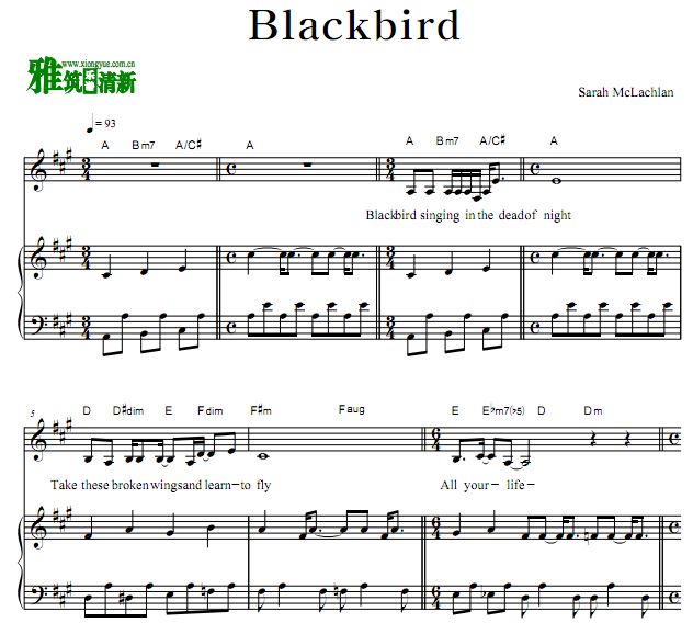 I am Sam电影插曲 Sarah McLachlan - Blackbird钢琴伴奏弹唱谱