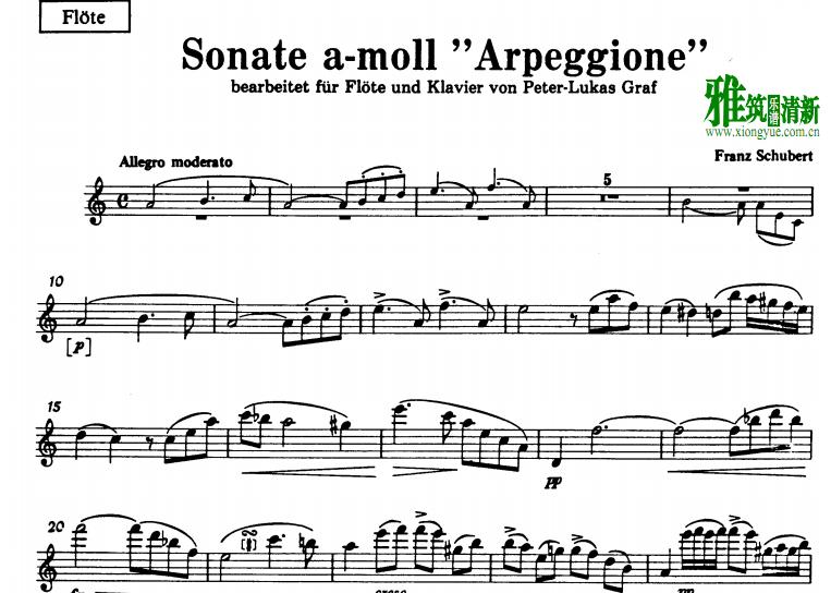 舒伯特 A小调奏鸣曲 arpeggione 长笛谱