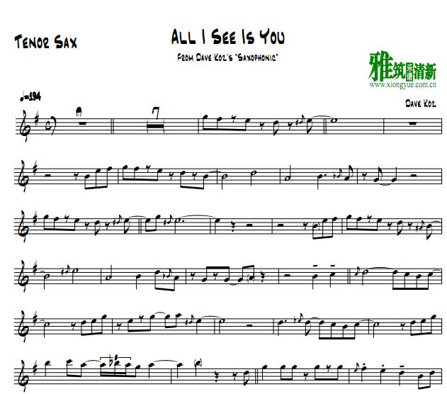 Dave Koz - All I See Is You 萨克斯谱