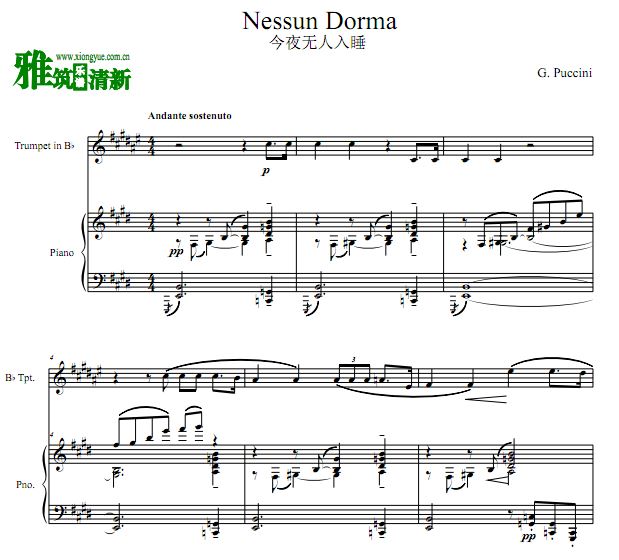 Nessun Dorma 今夜无人入睡小号钢琴合奏谱