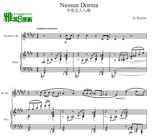 Nessun Dorma ҹ˯СŸٺ