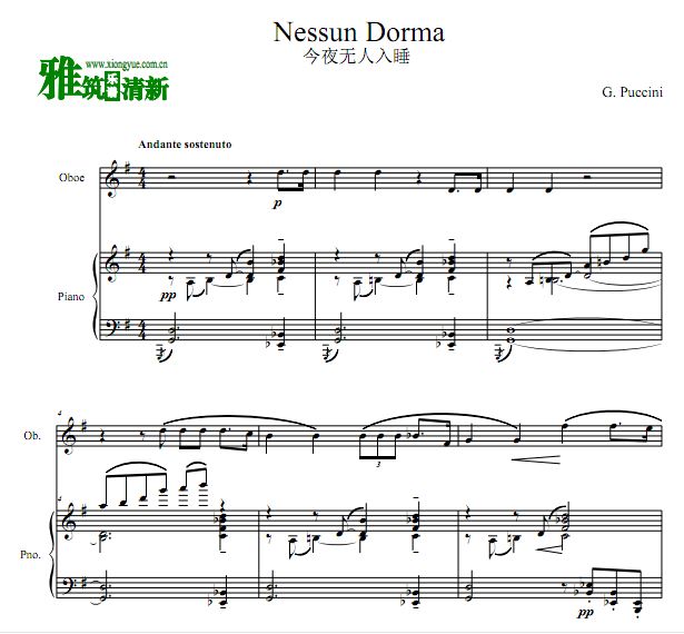 Nessun Dorma 今夜无人入睡双簧管谱