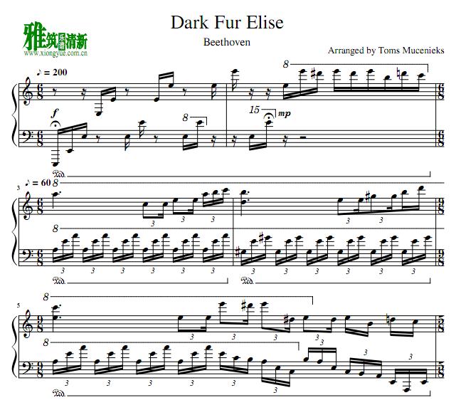暗黑版 献给爱丽丝  - Dark Fur Elise钢琴谱