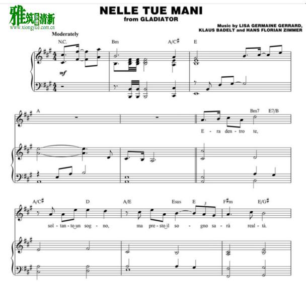 andrea bocelli - 角斗士nelle tue mani钢琴伴奏谱