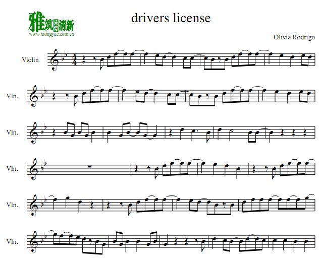 drivers license 小提琴谱