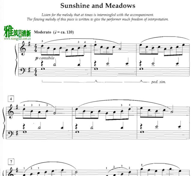 Timothy Brown - Sunshine and Meadows  钢琴谱