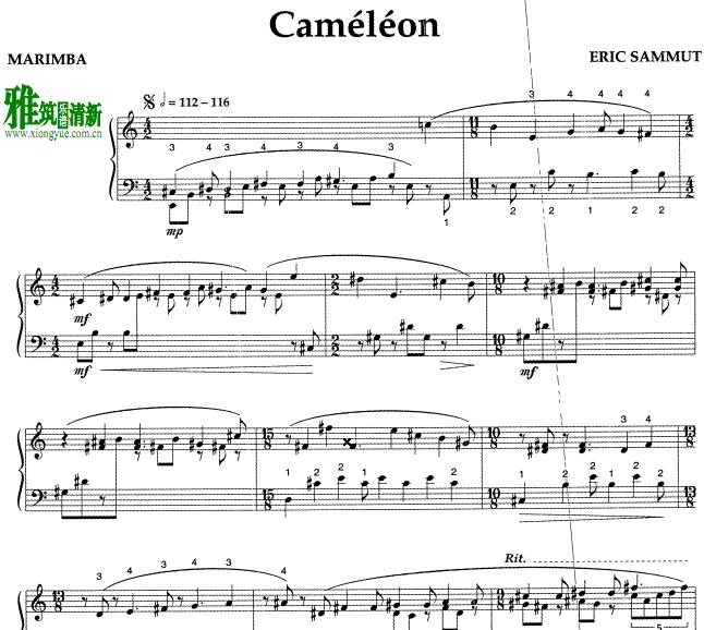 艾瑞克.萨姆 Eric Sammut - Cameleon马琳巴谱