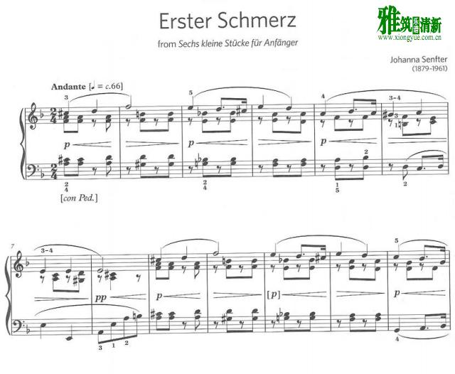 Johanna Senfter - Erster Schmerzg钢琴谱
