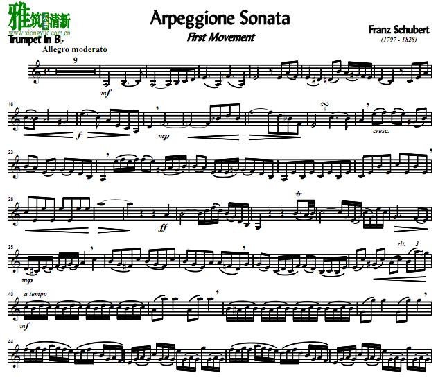 沮ذ Arpeggione һ С