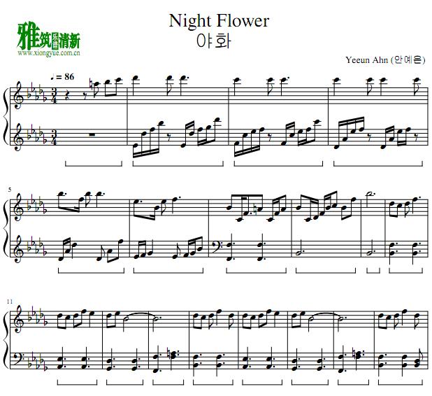 AHN YEEUN - Night Flower