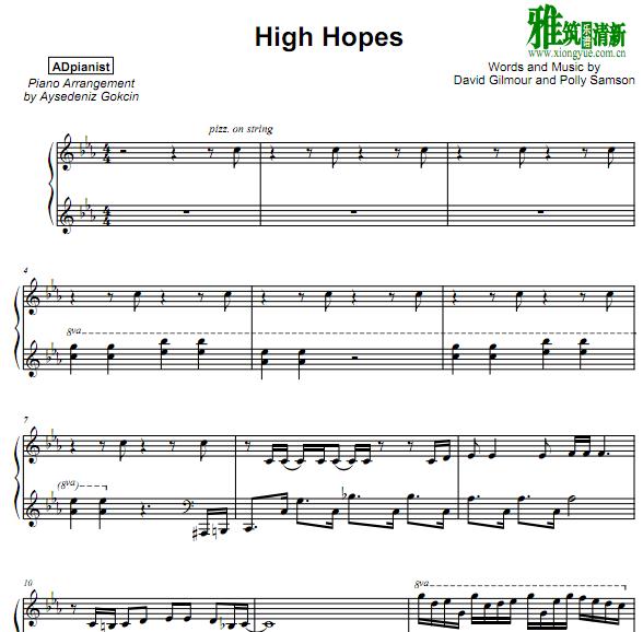 Aysedeniz Gokcin - High Hopes 