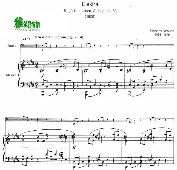 Richard Strauss - Elektra定音鼓钢琴伴奏谱
