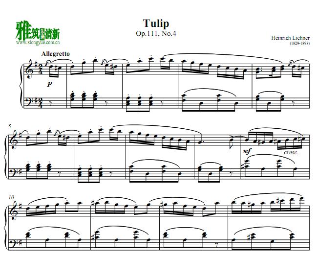 heinrich lichner - tulip钢琴谱