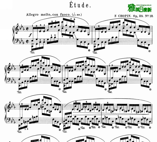 卡尔米库里 Carl Mikuli 肖邦 Op.25 no.12钢琴谱