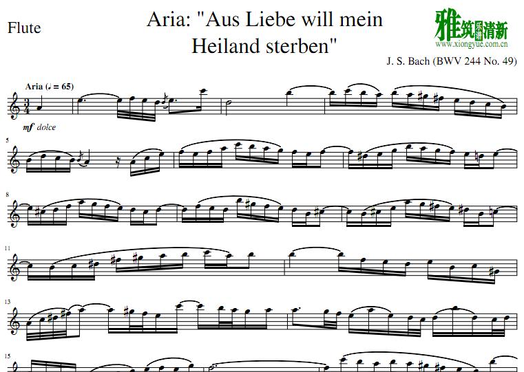 Aria Aus Liebe will mein Heiland sterben 长笛谱