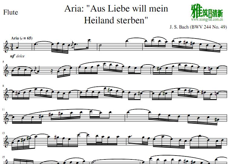 Aria Aus Liebe will mein Heiland sterben 