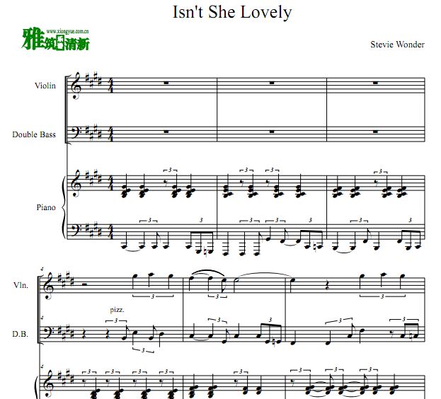 Isn't She Lovely 小提低音提琴钢琴合奏谱