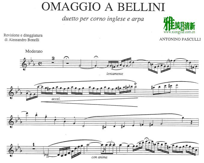 ˹  - omaggio a bellini ˫ɹ