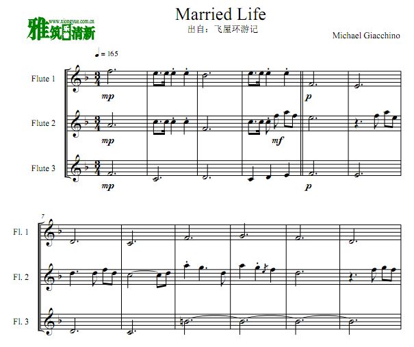 Married Life 飞屋环游记长笛三重奏谱