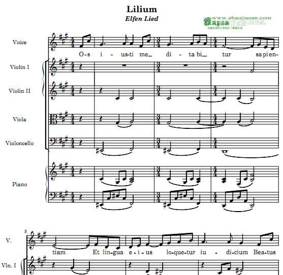 妖精的旋律lilium弦乐四重奏钢琴伴奏谱